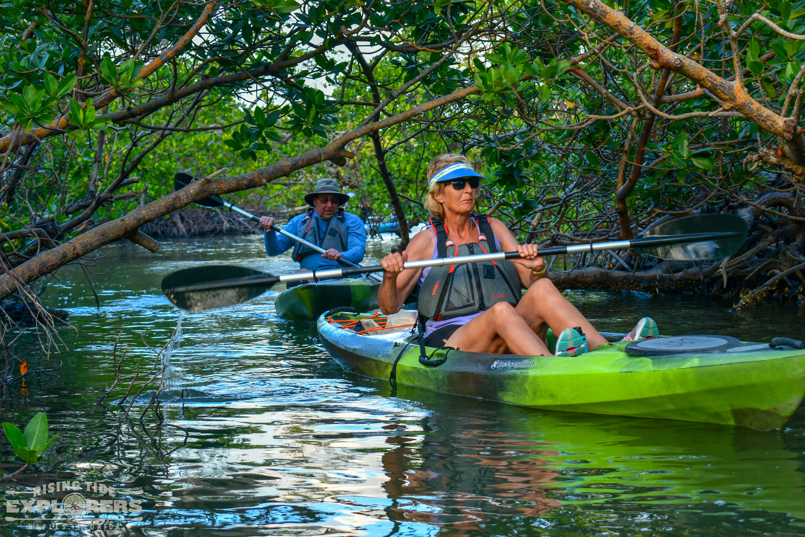 Sunset Bird Rookery Kayak Tour