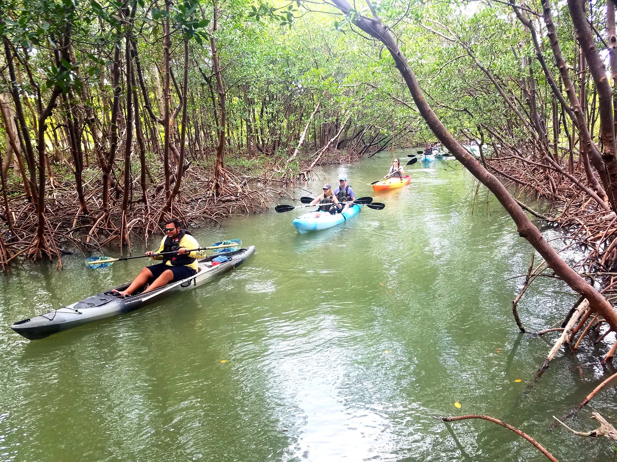 Rising Tide Explorers receives local awards and recognition as ...