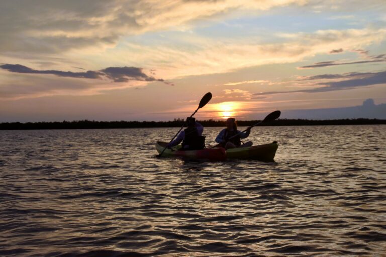 kayakers near Marco Island enjoy a peaceful sunset tour