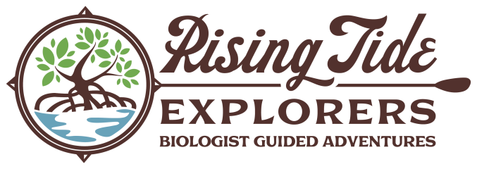 Rising Tide Explorers